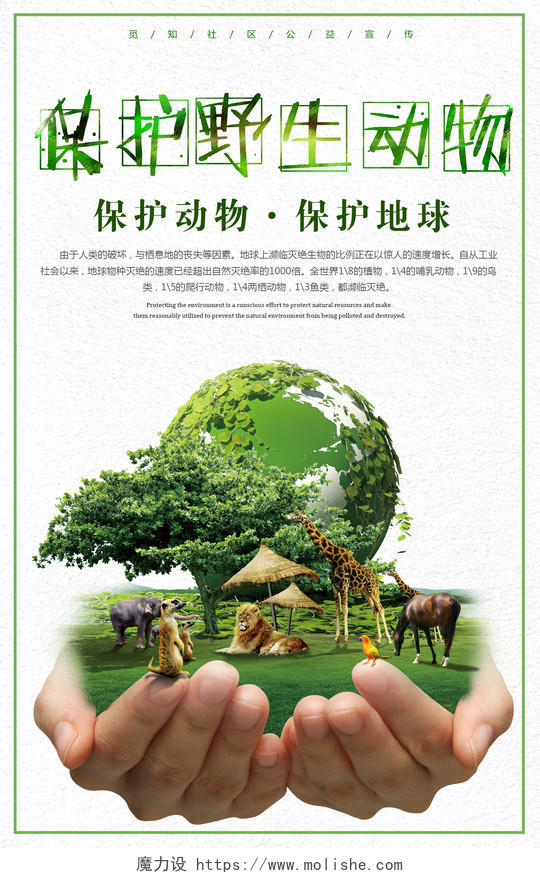 保护野生动物保护地球公益宣传动物园海报
